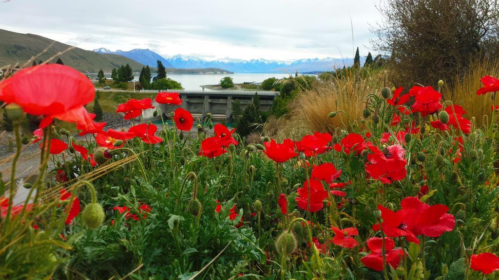 Marie Therese Apartment B&B Lake Tekapo Exteriör bild